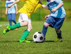 新疆主场豪,连胜,皮特森,亚博体育,亚博体育官网,亚博体育app,亚博体育下载